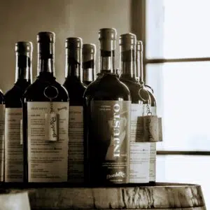 Bodega BordeRío Victoria Entre Ríos