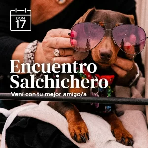 17 Salchicero web ezgif.com optiwebp