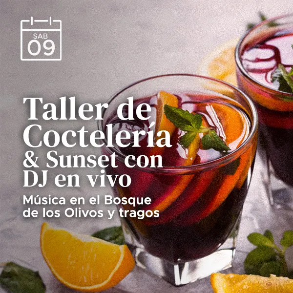 9 tallercocteleria ezgif.com optiwebp