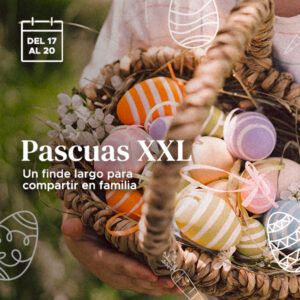 17 pascuas web