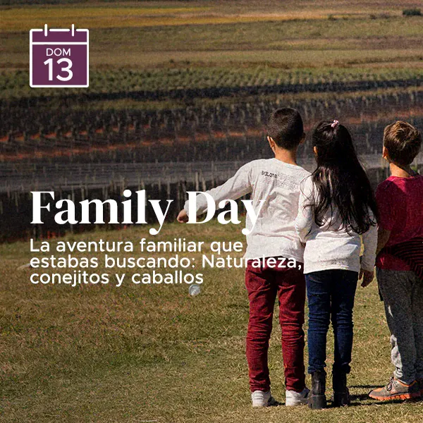 13 diadefamilia web ezgif.com optiwebp