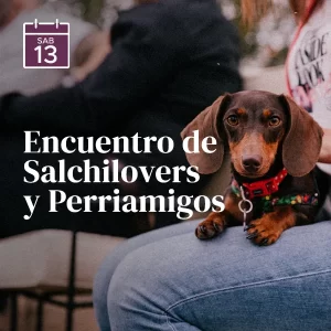 Encuentro SalchiLovers