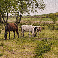 Full Day BordeRío 4 Full Day BordeRío - Image 4