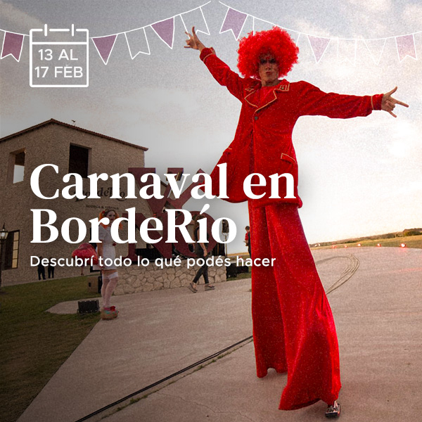 13 Carnaval web