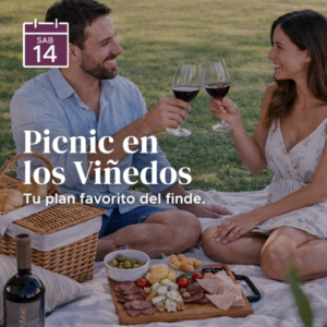 Picnic en los Viñedos
