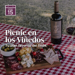 Picnic en los Viñedos