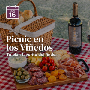 Picnic en los Viñedos