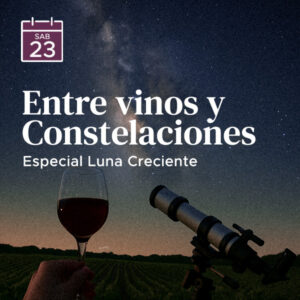 Entre Vinos y Constelaciones