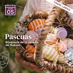 Búsqueda de la Canasta de Pascuas