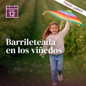 Barrileteada BordeRío
