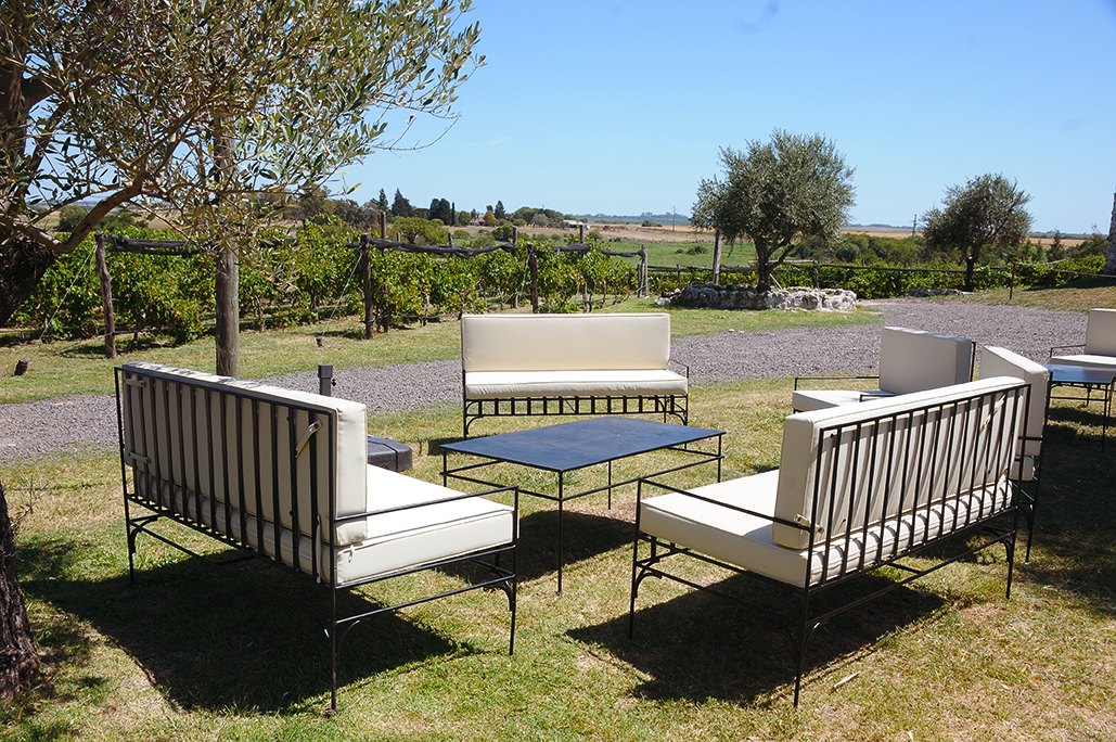 bosque de olivos opt