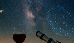 03 - constelaciones - web sin texto