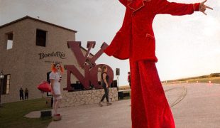 13 - Carnaval - web sin texto