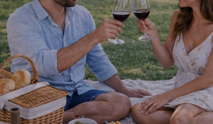 14 - picnic - web sin texto