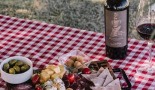 15 - picnic - web sin texto