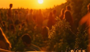 17 - sunset - web sin texto