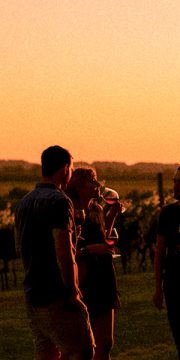 18 - sunset - web sin texto