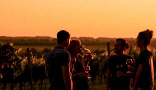 18 - sunset - web sin texto