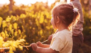 22 - family day - web (1)