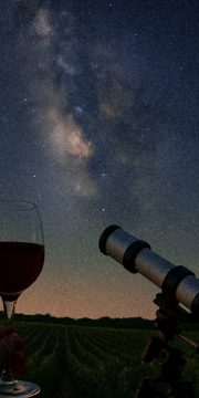 23- vino y constelaciones web sin texto