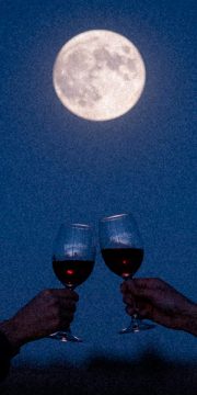 27 - vino y luna llena web sin texto