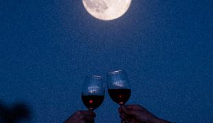 27 - vino y luna llena web sin texto