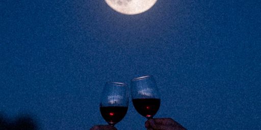 27 - vino y luna llena web sin texto